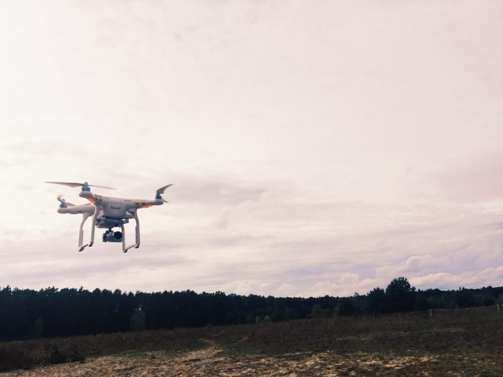 Dron above meadow